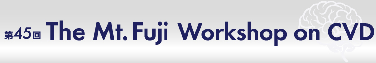 第45回 The Mt. Fuji Workshop on CVD